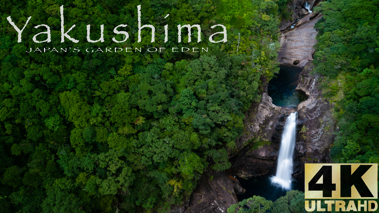 Yakushima : Japan's garden of Eden